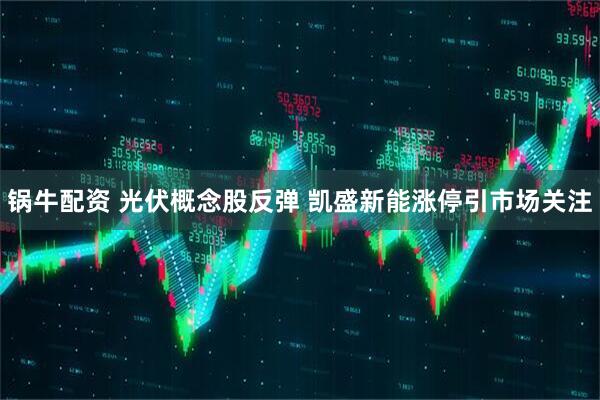 锅牛配资 光伏概念股反弹 凯盛新能涨停引市场关注