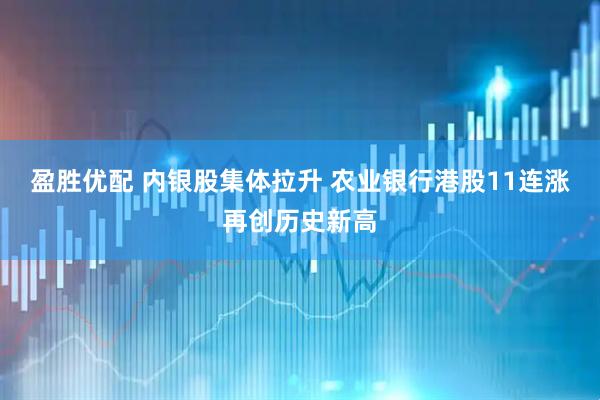 盈胜优配 内银股集体拉升 农业银行港股11连涨再创历史新高