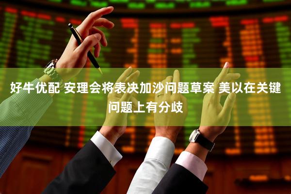 好牛优配 安理会将表决加沙问题草案 美以在关键问题上有分歧