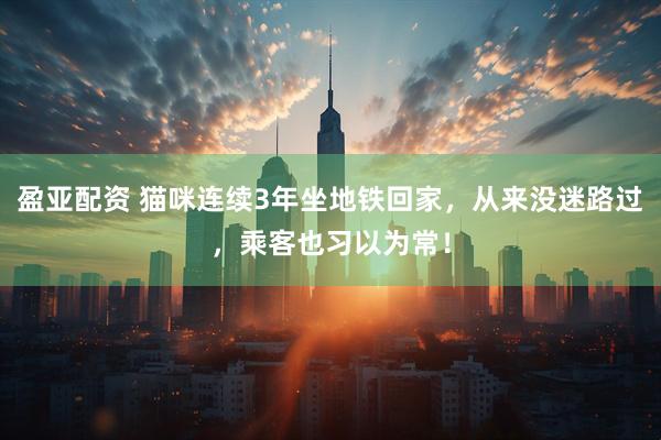 盈亚配资 猫咪连续3年坐地铁回家，从来没迷路过，乘客也习以为常！