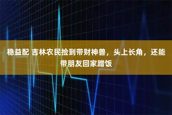 稳益配 吉林农民捡到带财神兽，头上长角，还能带朋友回家蹭饭